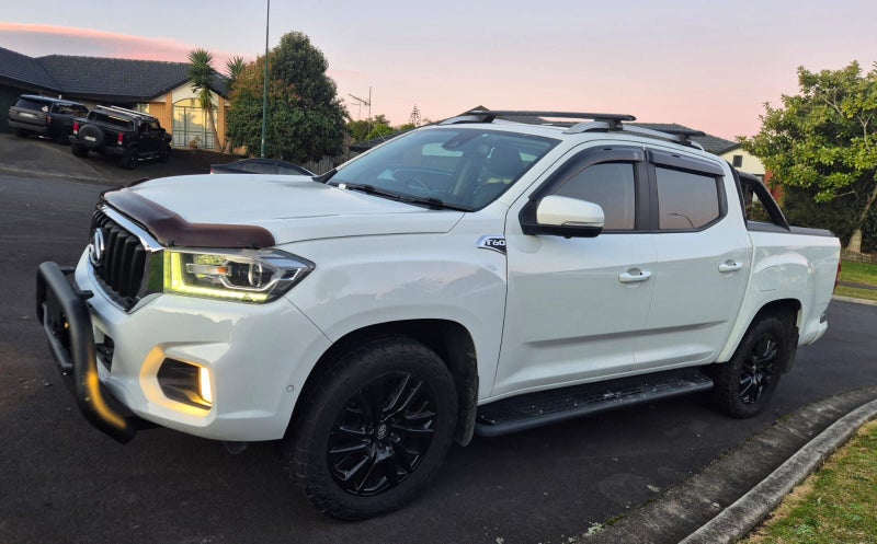 2020 LDV T60 Trailrider 263613519641603111