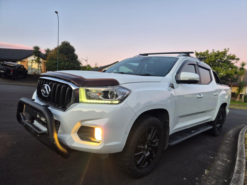 2020 LDV T60 Trailrider 263613519641603114