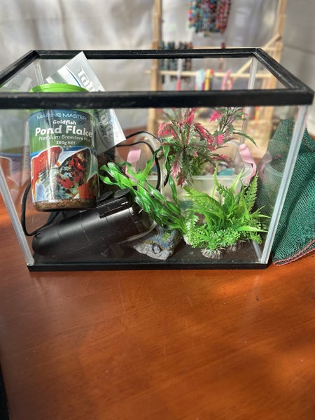 Fish Tank and Accessories Carousel 1