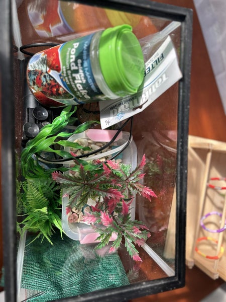 Fish Tank and Accessories Carousel 2