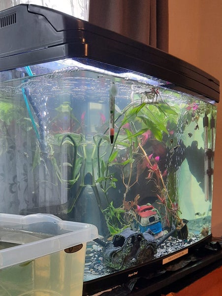 Complete Aquarium Carousel 1