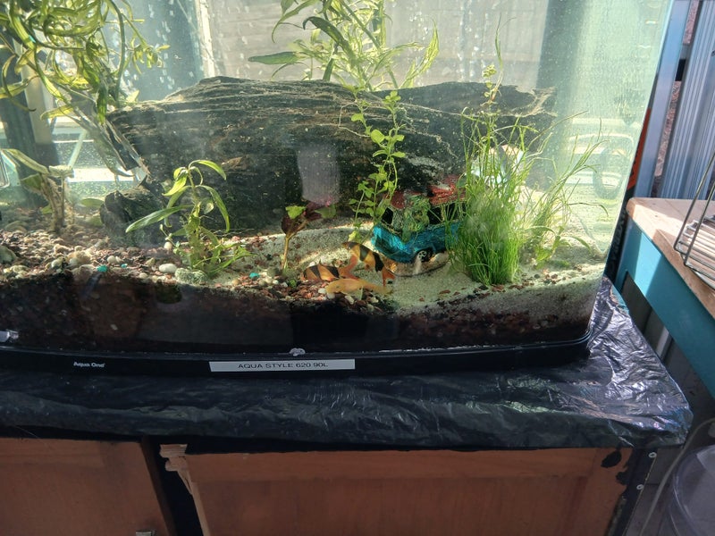 Complete Aquarium Carousel 7