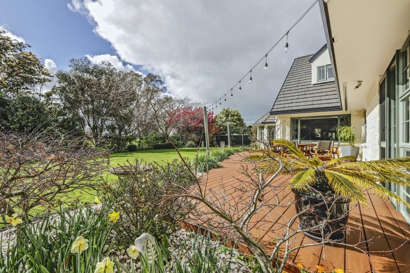 Image 2 of 25