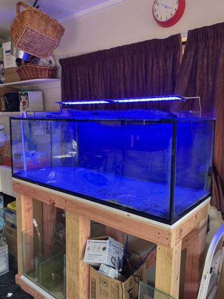 450 Litre aquarium with items listed - cost $3500, going out cheap. Carousel 1