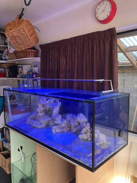 450 Litre aquarium with items listed - cost $3500, going out cheap. Carousel 2