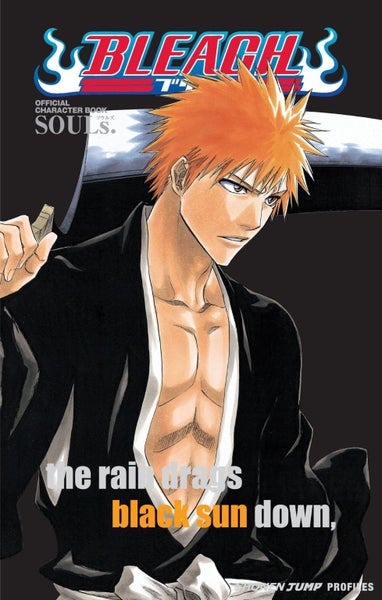 Bleach SOULs. Official Character Book Carousel 1