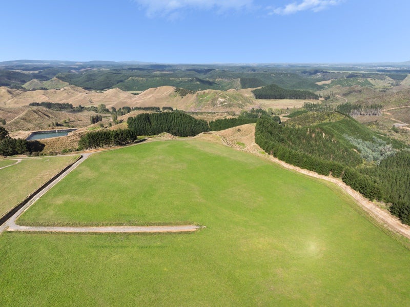 Image 2 of 8