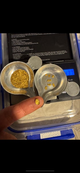 Alluvial gold Carousel 1