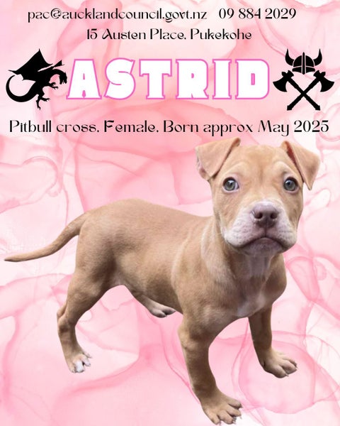 Astrid-Pukekohe Adoption Centre Carousel 1
