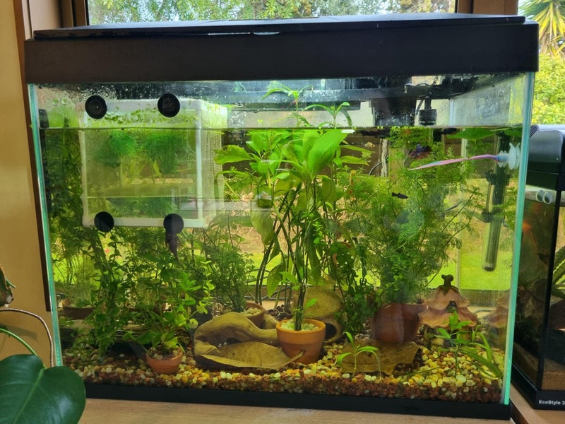 Blue Planet 70L Fish Tank Carousel 1