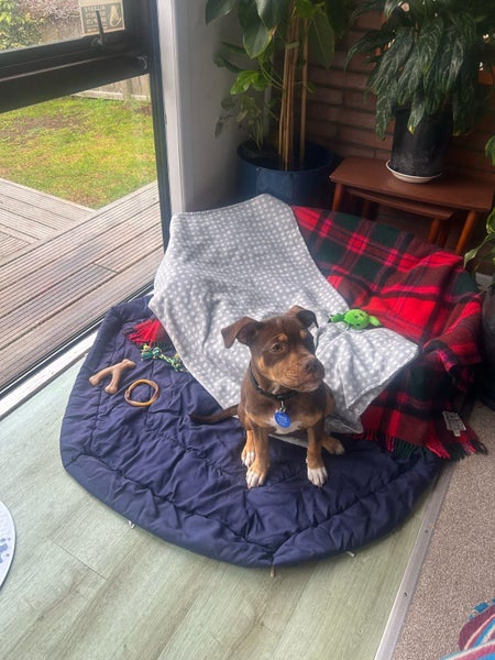 Bayview, 4 bedrooms64419446153475112