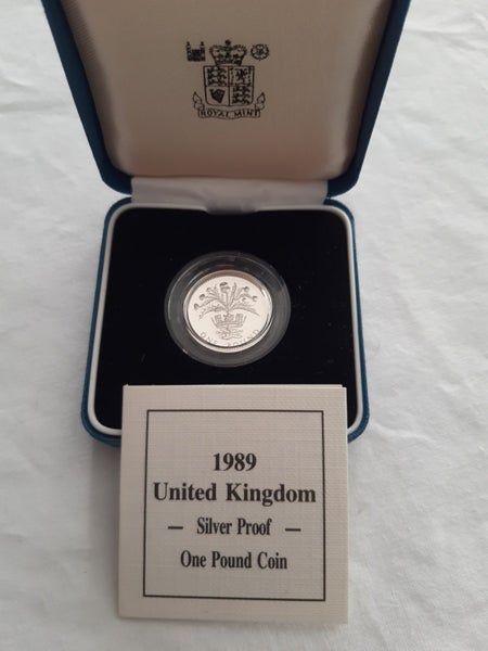 UK 1989 sliver proof 1 pound coin in case Carousel 1