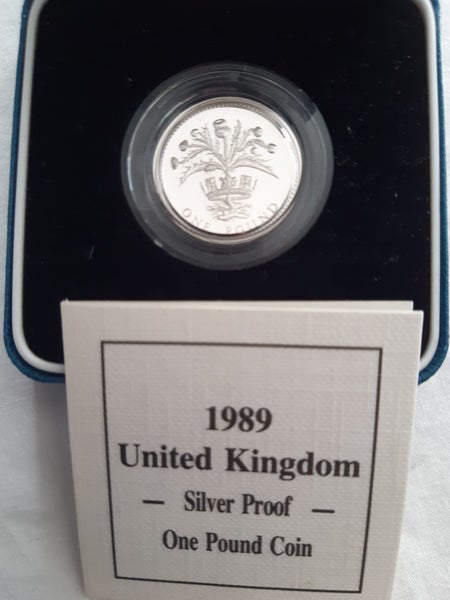 UK 1989 sliver proof 1 pound coin in case Carousel 2
