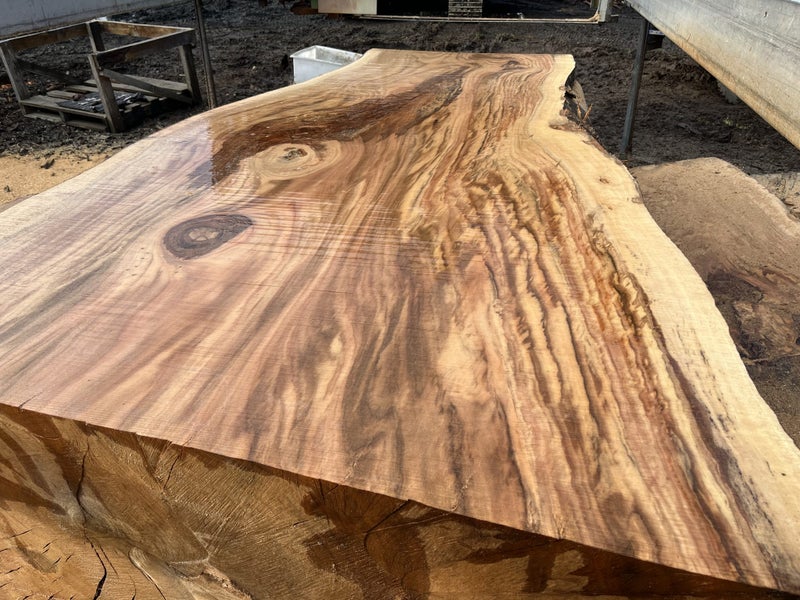Timber Table/Bench slabs Carousel 2