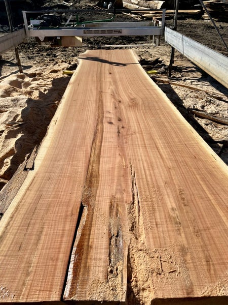 Timber Table/Bench slabs Carousel 7