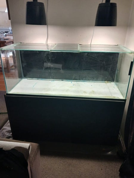 4 foot aquarium and filter Carousel 2