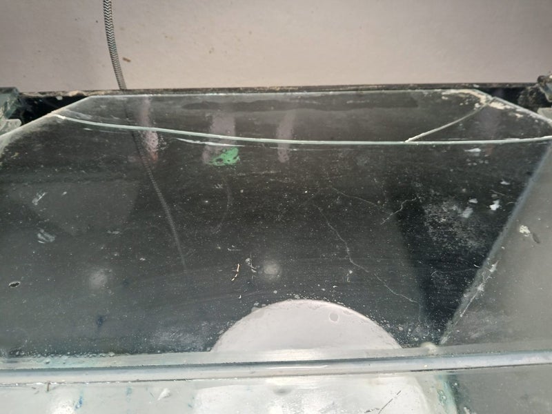 4 foot aquarium and filter Carousel 10
