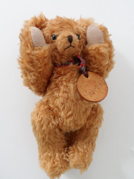 ROBIN RIVE - COLLECTABLE BEAR - SWEETPEA - NZ MADE Carousel 5