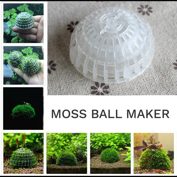 Moss Ball Maker Carousel 1