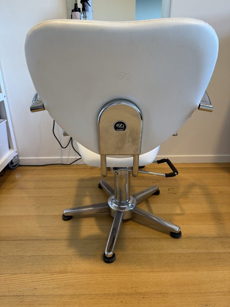Hair Salon Cutting Chair Carousel 2