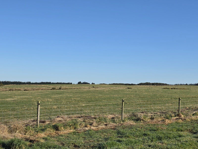 Image 2 of 5