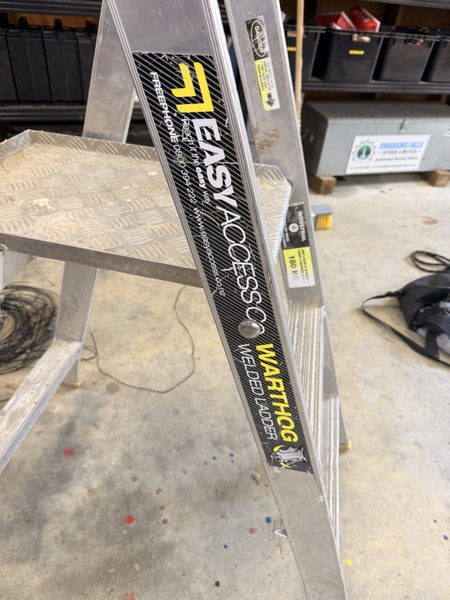 Good Quality Platform Ladder Carousel 5