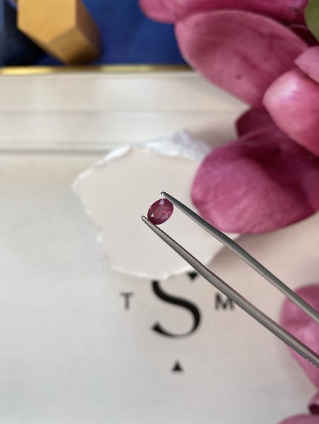 $1 RES ~ $3000 Buy Now * 1.05ct Ruby Carousel 6