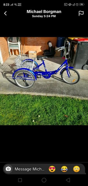 Disability Bike/Trike With Cart Carousel 2