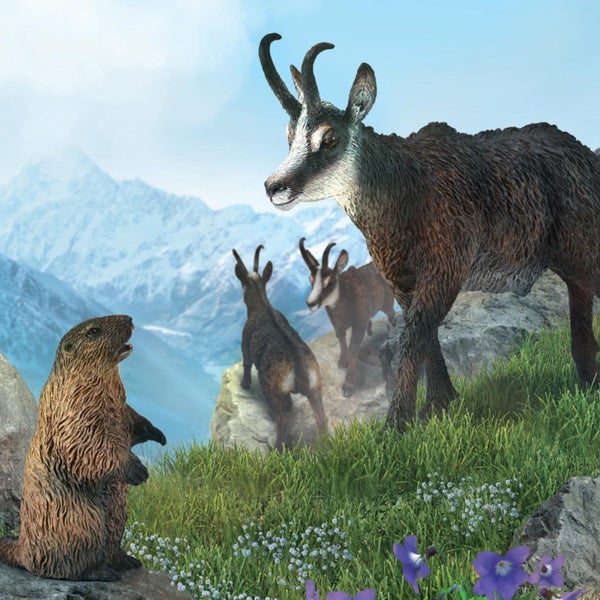 CollectA Marmot Carousel 2