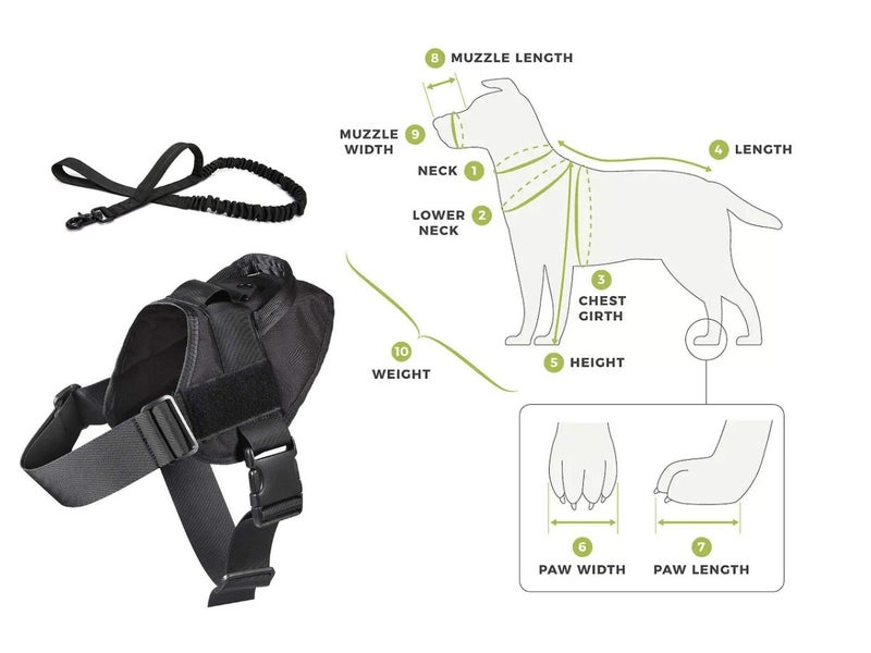 Dog Harness NZ Local Buy Now Carousel 2