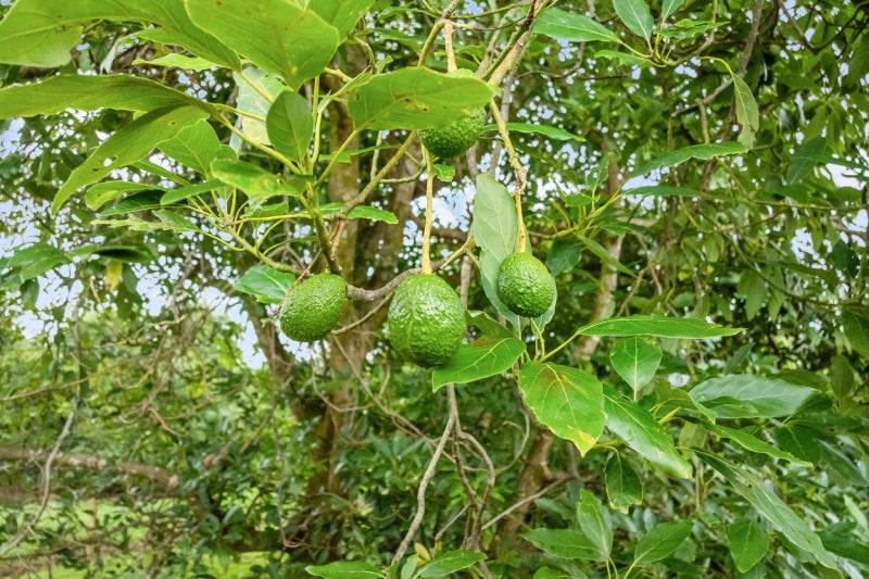 Image 3 of 3