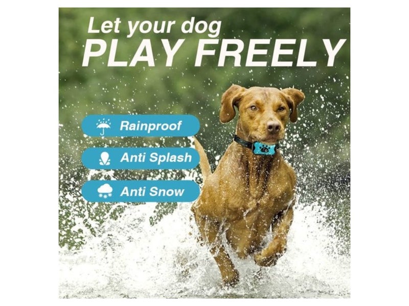 Dog Training Collar (OVER STOCKED) Carousel 5