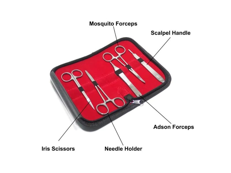 Surgical Suture Practice Kit NZ Clearance Carousel 2