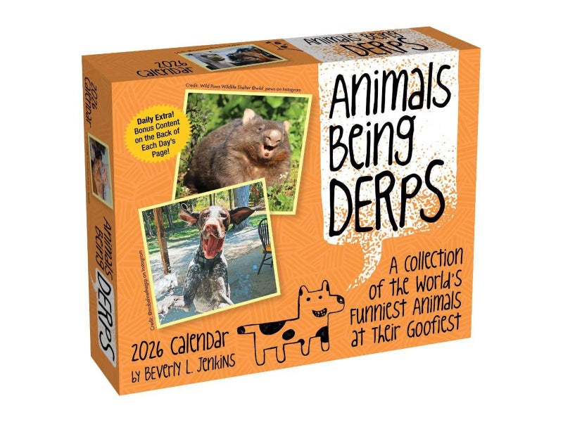 Animals Being Derps 2026 Day-to-Day Calendar by Beverly L. Jenkins - Carousel 1