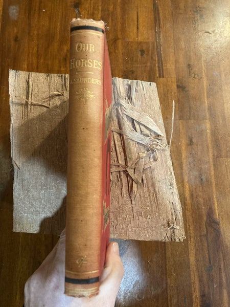 Our Horses 1886 First Edition Carousel 2