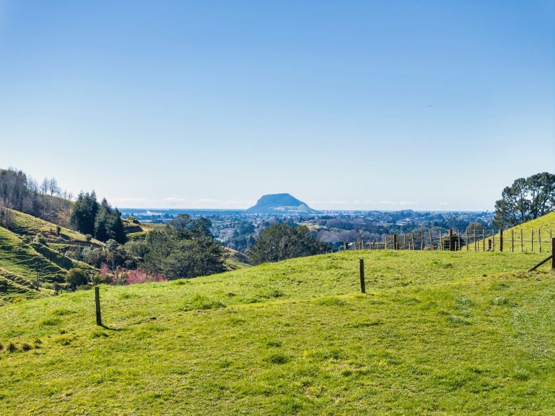 Image 1 of 14
