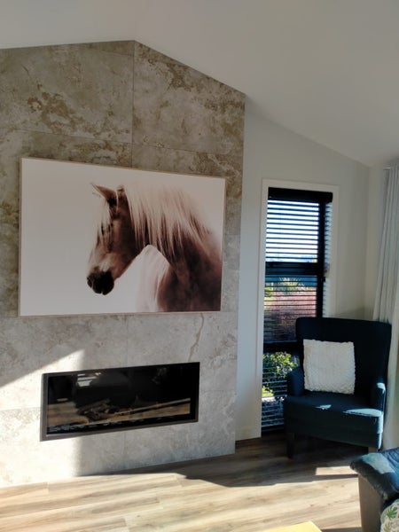 XL Framed Canvas - Horse Print Carousel 1