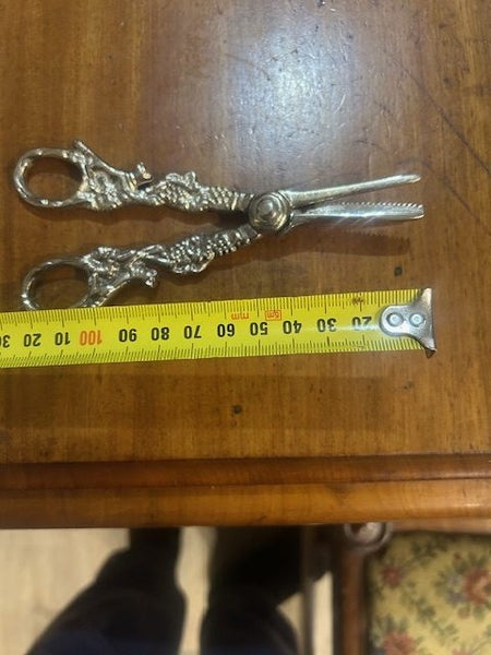 Silver grape scissors Carousel 5