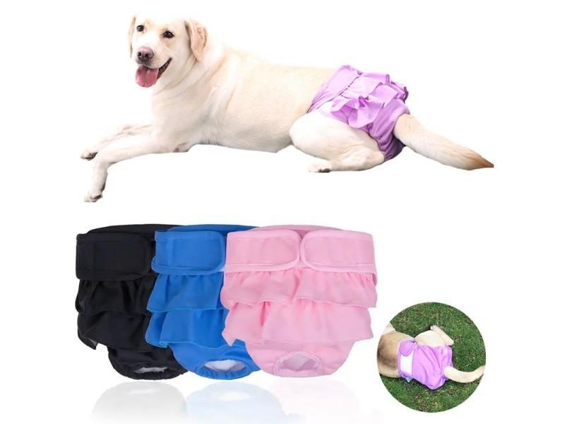 Dog Washable Physiological Pants Dogs Shorts Panties For Small Large Doggy Carousel 2