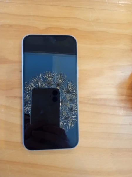 iPhone 15 Plus63621448519426113