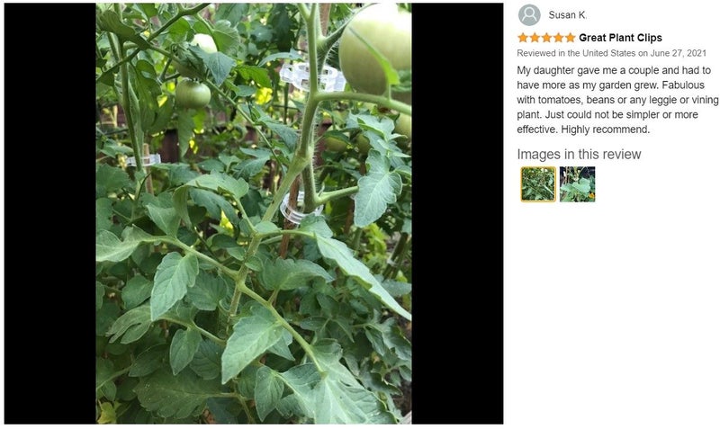 NEW new Plant Support Garden Clips Twine Cages Vine Trellis *Clearance* Carousel 2