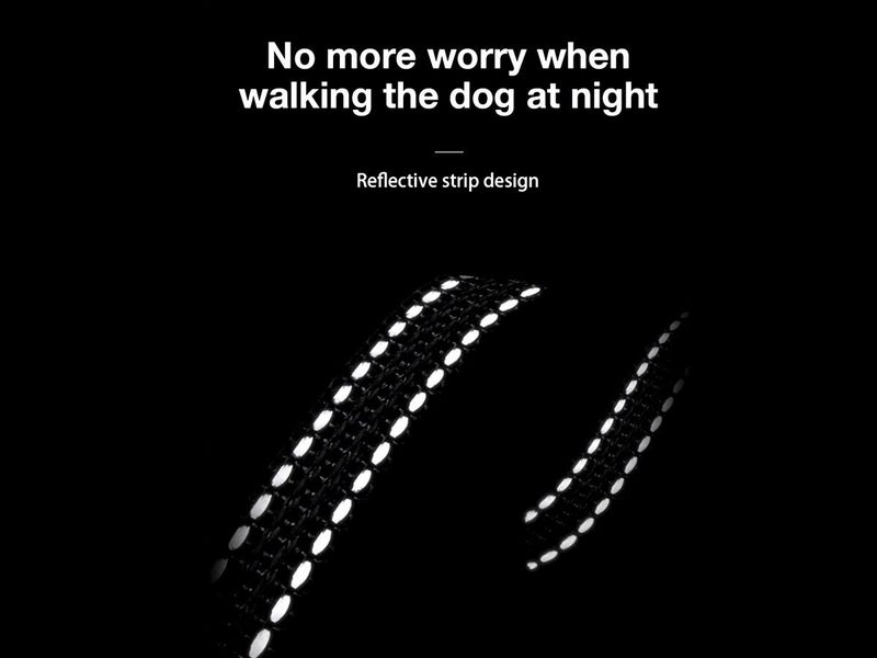 Retractable Dog Leash NZ Local Buy Now Carousel 2