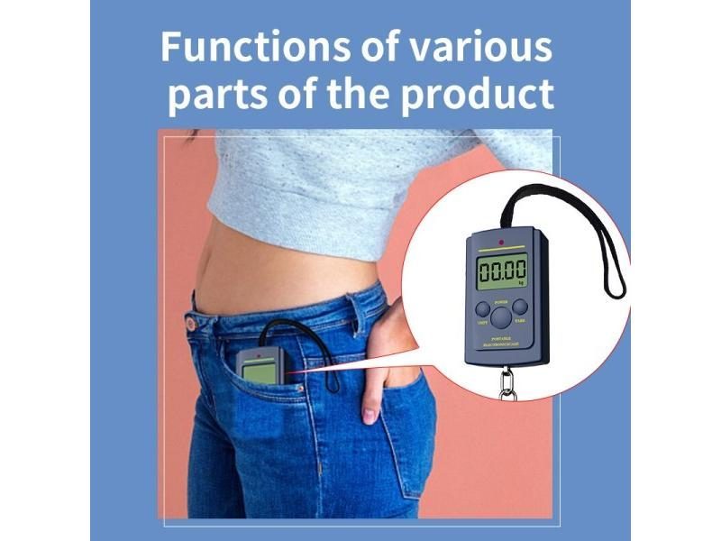 1PC Multifunctional Mini 40kg/10g Electronic Hanging Fishing Luggage Balanca Carousel 1