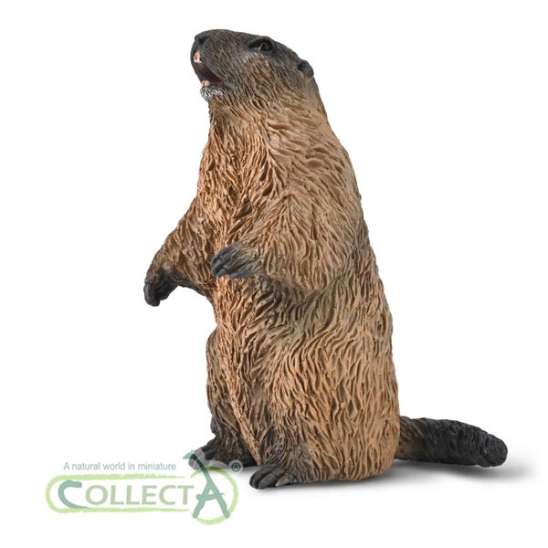 CollectA Marmot Carousel 5