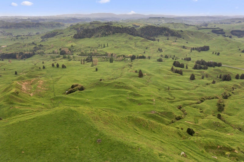 Calling All Cattle Graziers!!!63621370464257111