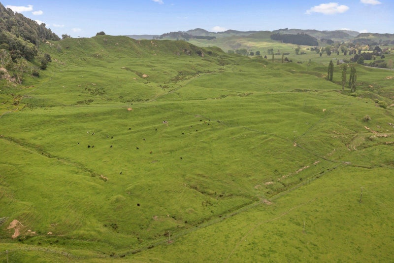 Calling All Cattle Graziers!!!63621370464257112