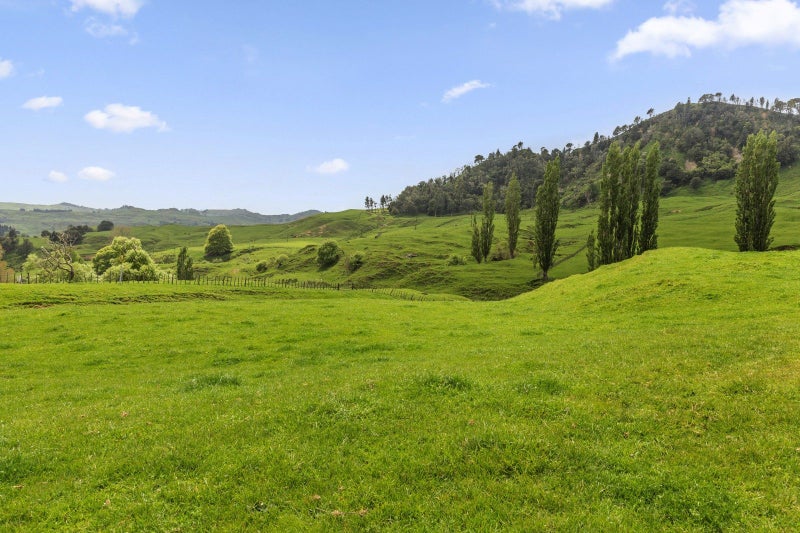 Calling All Cattle Graziers!!!63621370464257113