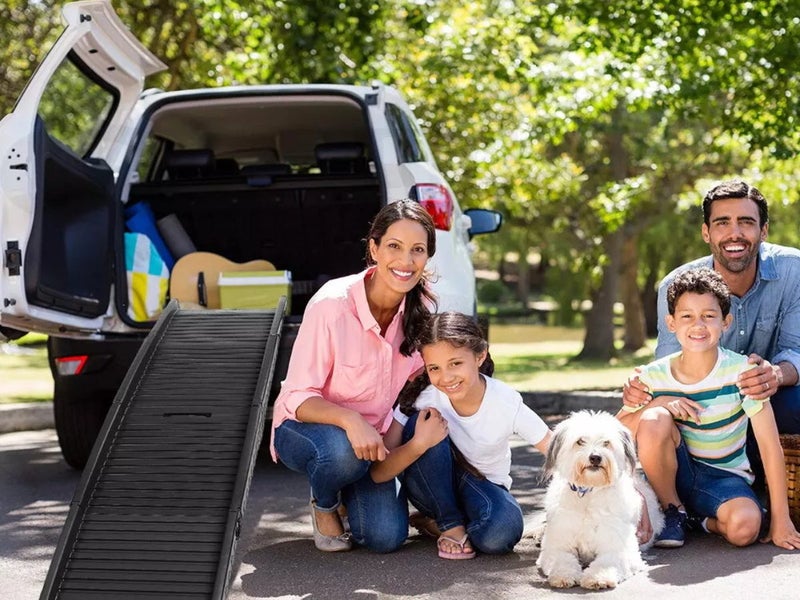 Dog Ramp NZ Clearance Carousel 6