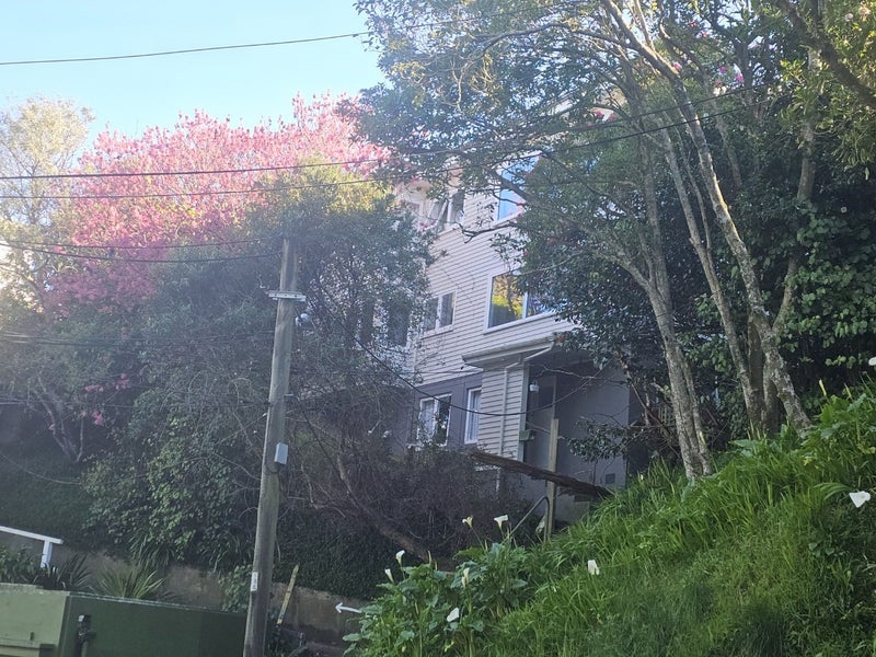 Image 1 of 16