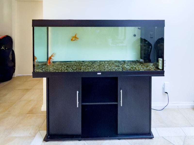 Juwel 450 Aquarium Set Black Carousel 1